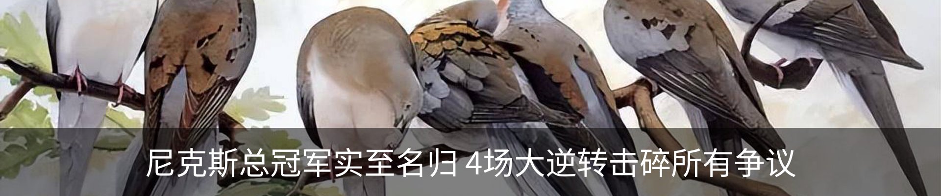 行业资讯